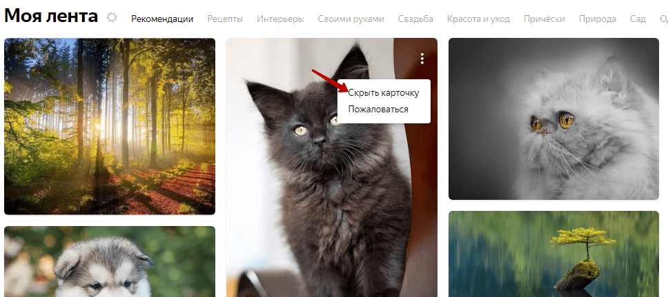 Как работают Коллекции Яндекса